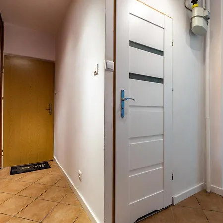 Brzezno Comfort Apartment